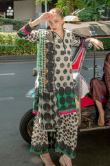 Dilruba Printed 3pcs